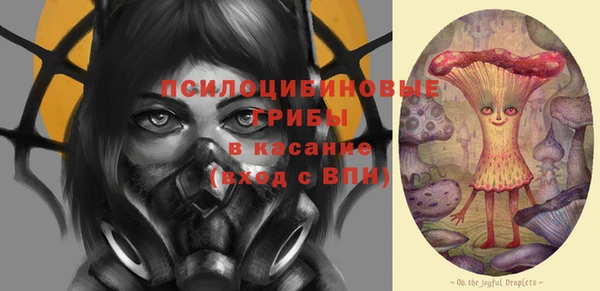PSILOCYBIN Алзамай