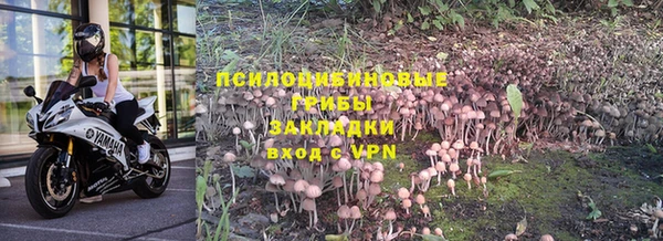 ПСИЛОЦИБИНОВЫЕ ГРИБЫ Алексин